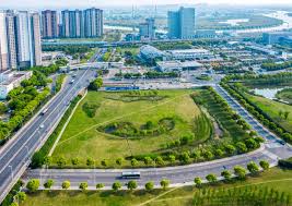 贝博中国 丽江绿化苗木市场分析